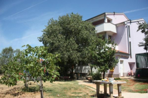 Apartmani Tara i Nika